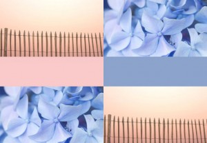 Culoarea anului 2016 Pantone (2)