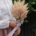 Buchet de cununie cu astilbe Belle