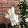 Lumânare de botez cu orhidee albă în spirală Blanca